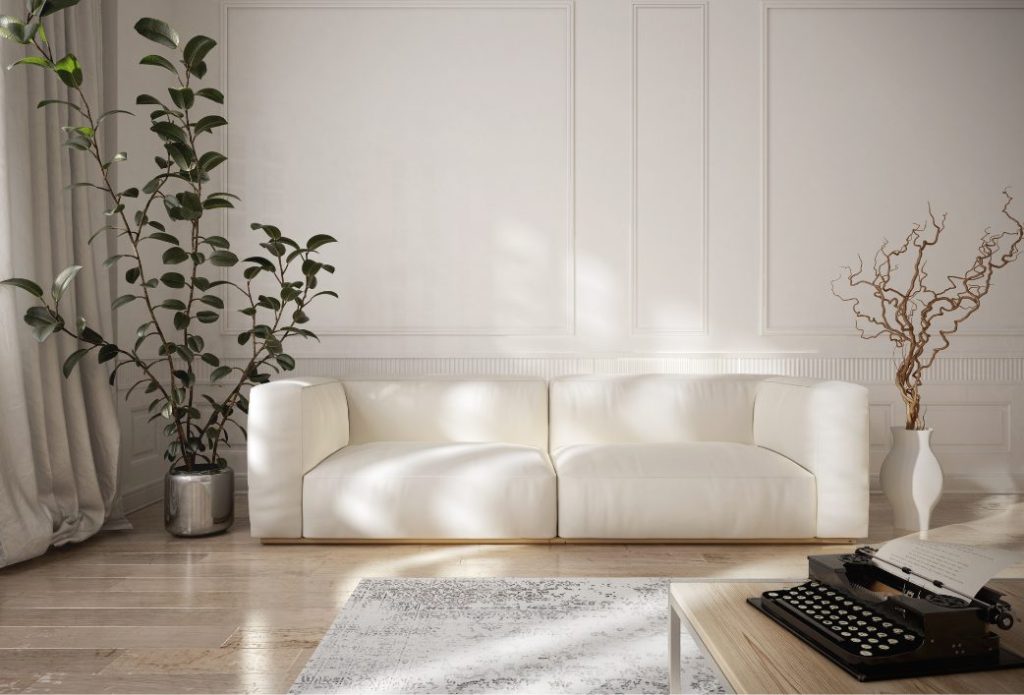white-couch-1024x695 (1)